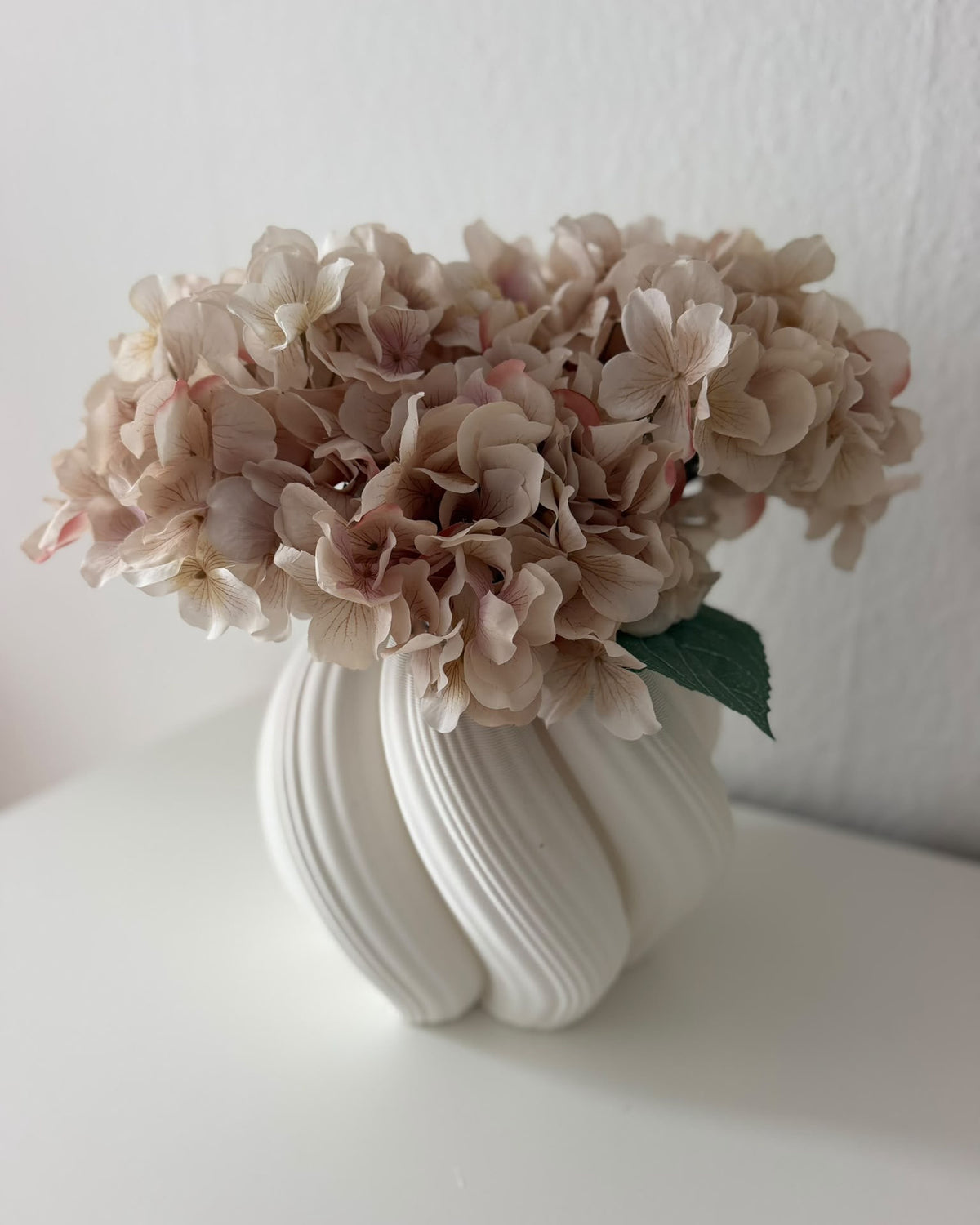 Luca Vaas 25 cm